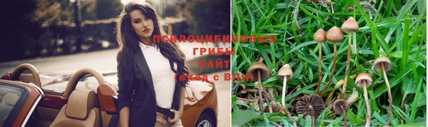 соль курить ск Армянск