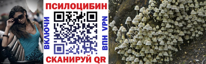 Галлюциногенные грибы Cubensis  OMG как войти  Макарьев 